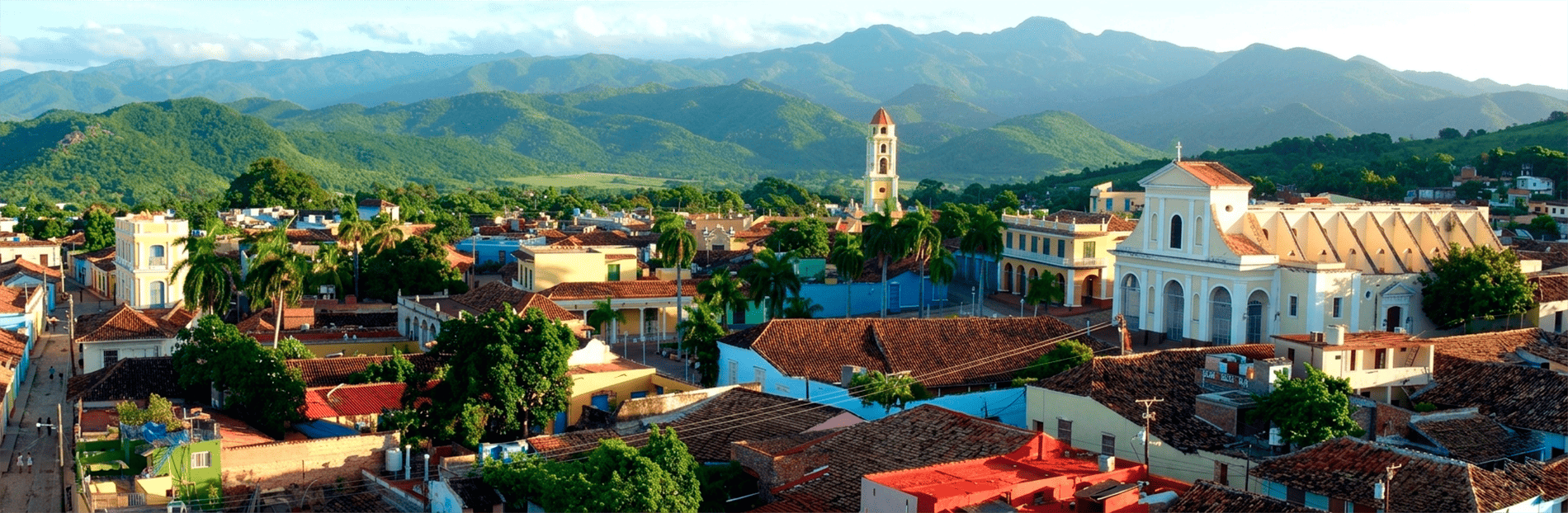 Paisaje de humedales y vegetación en la Ciénaga de Zapata, Matanzas.